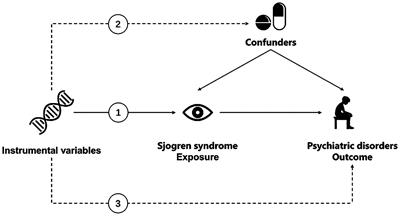 Associations between Sjogren syndrome and psychiatric disorders in European populations: a 2-sample bidirectional Mendelian randomization study